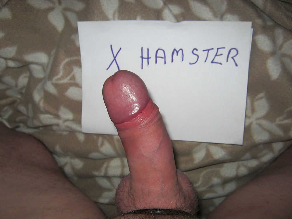 My dick  #31288903