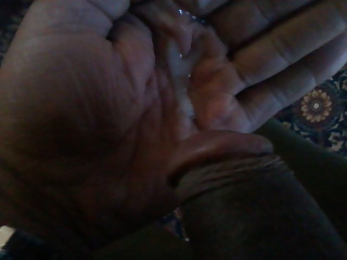 俺のチンコ
 #36619998