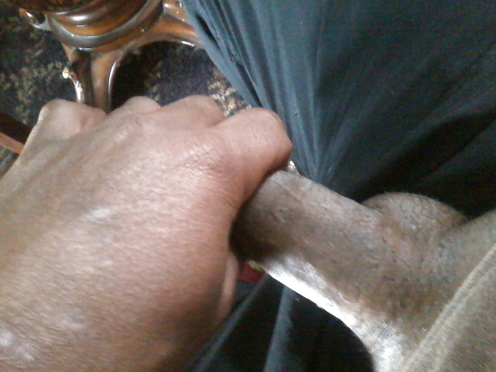 俺のチンコ
 #36620010