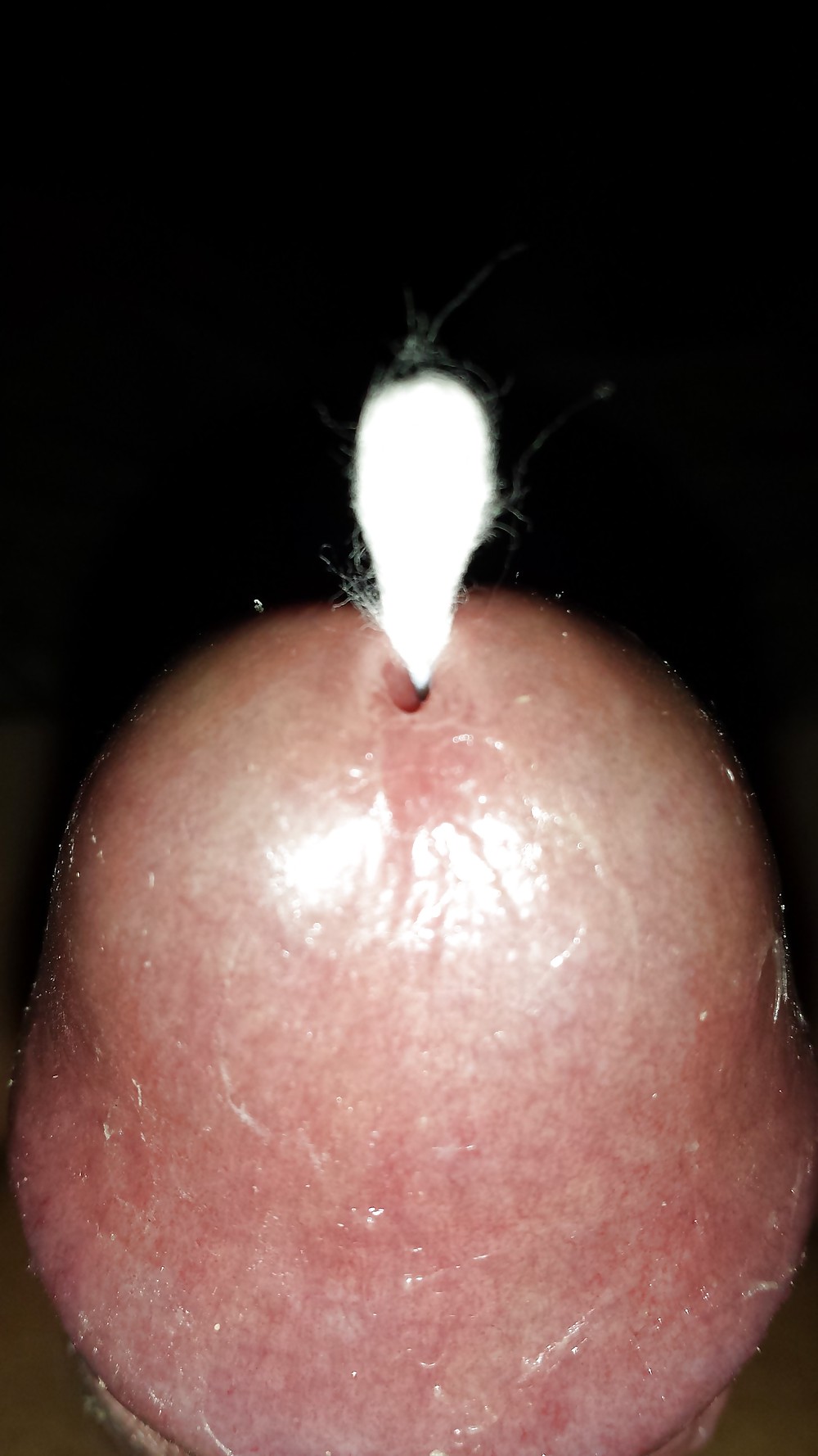 Qtips In Meinem Peehole #37156329