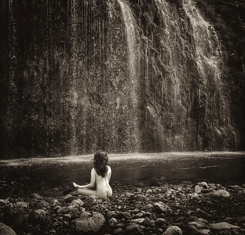 Janas art de la joie 454
 #32171878