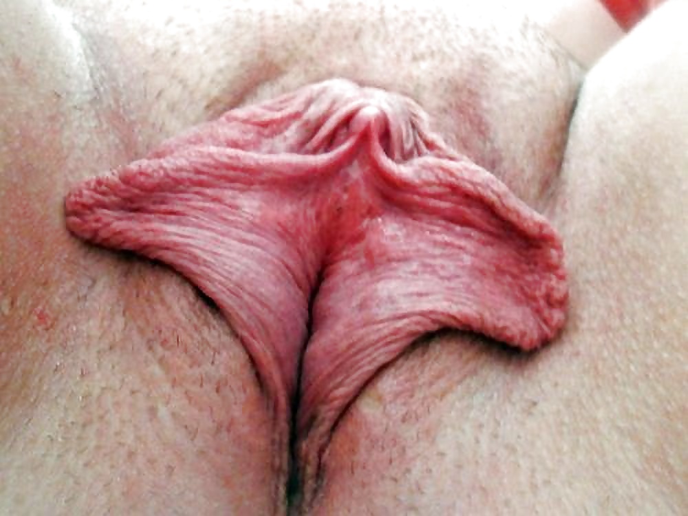 Big flaps 3 #33581609