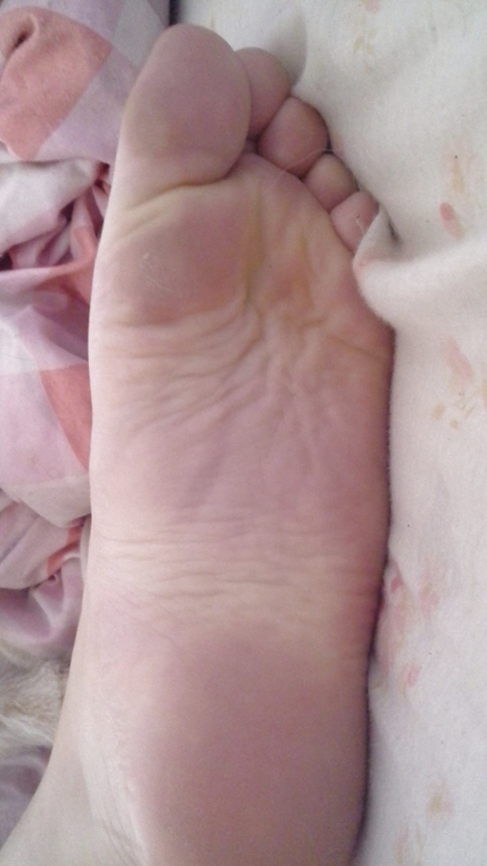 Toula 's Sexy Füße #41109455