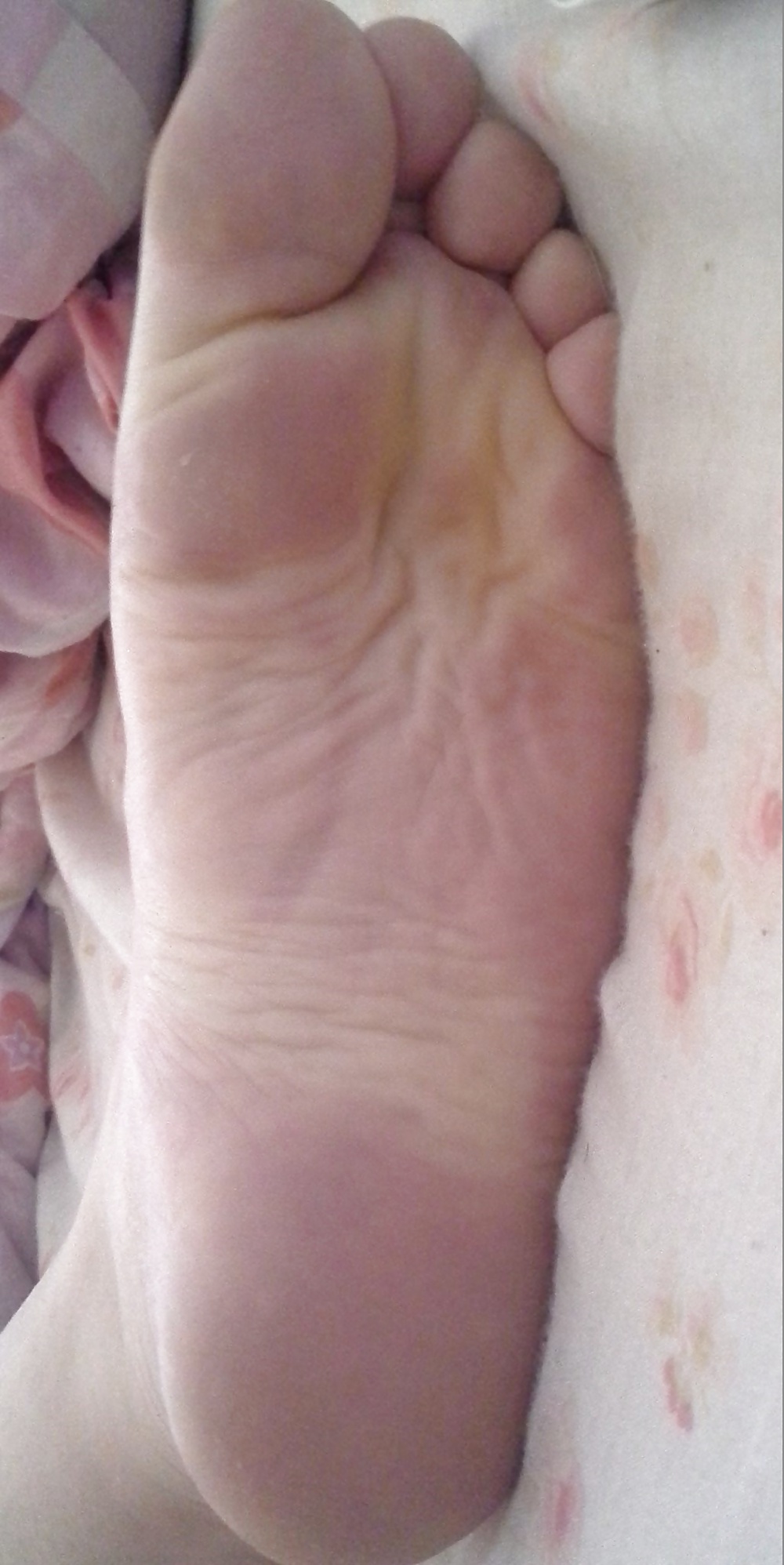 Toula 's Sexy Füße #41109463