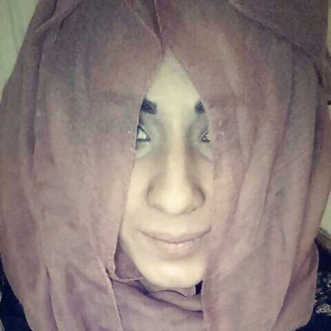 Hijab Cochonne #25997036