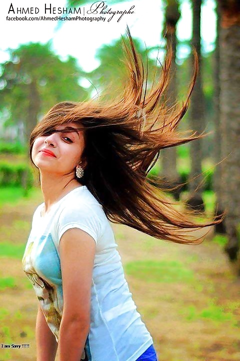 Egyptian Models 2  #29844875