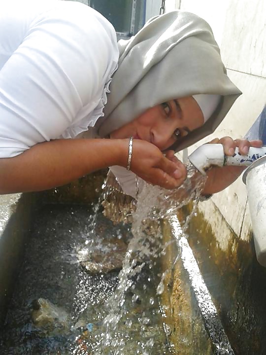 サザエ
 #25496462