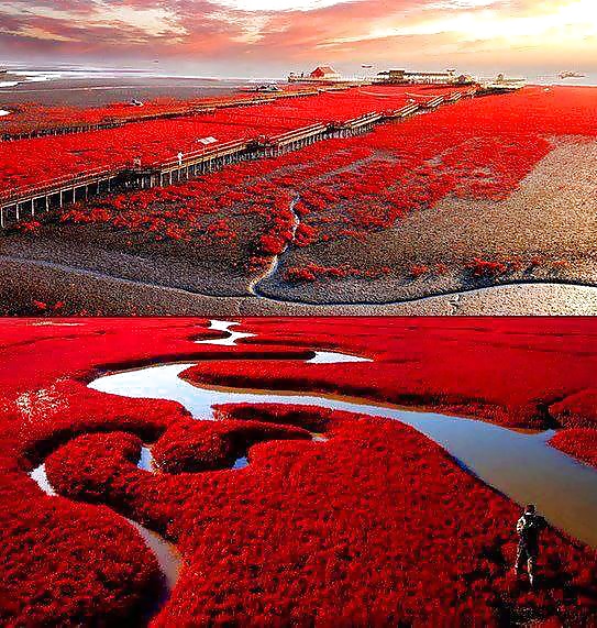 Hermosa naturaleza
 #35308740