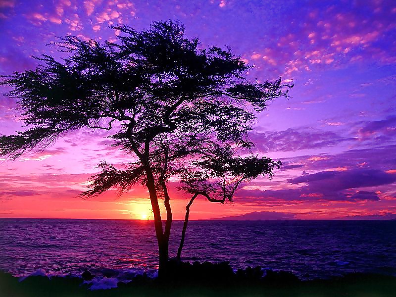 Hermosa naturaleza
 #35308797