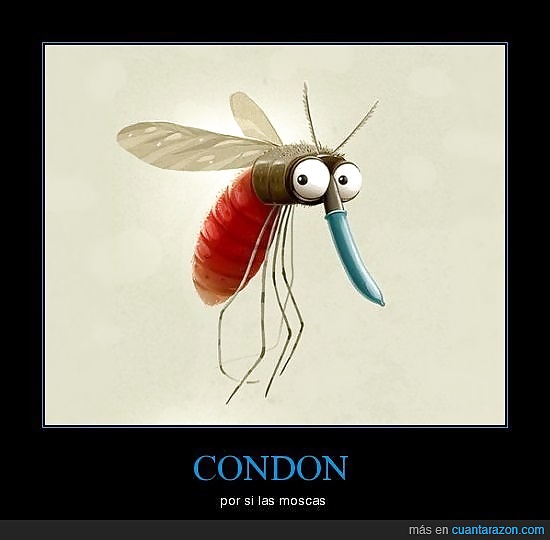 -imagenes-
 #35391054