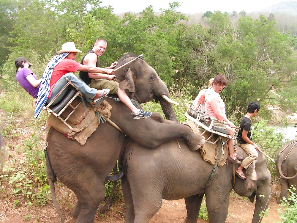 -imagenes-
 #35391070