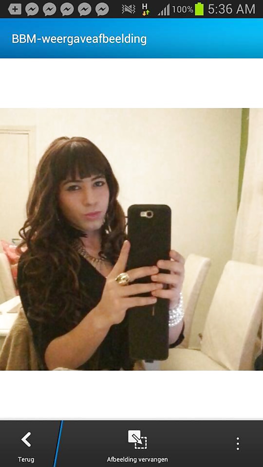 Transexual holandesa
 #28085114