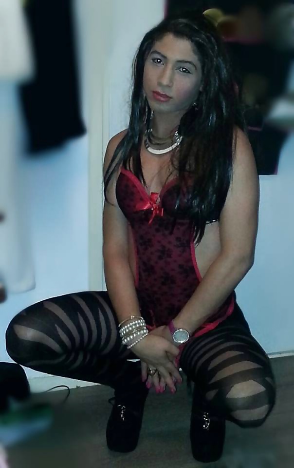 Tranny Dutch #28085173