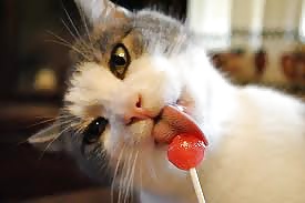 My pussy wants to taste your lollipop  #24509307
