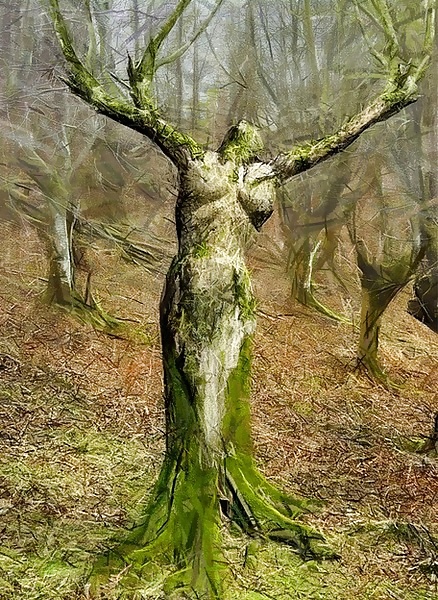 Dreams and Fantasies for Black--Widow  #29666798