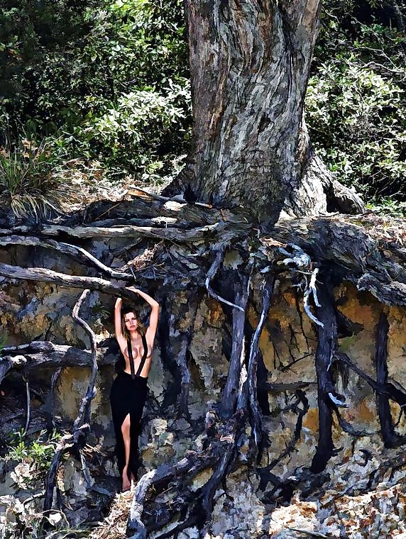 Dreams and Fantasies for Black--Widow  #29666827