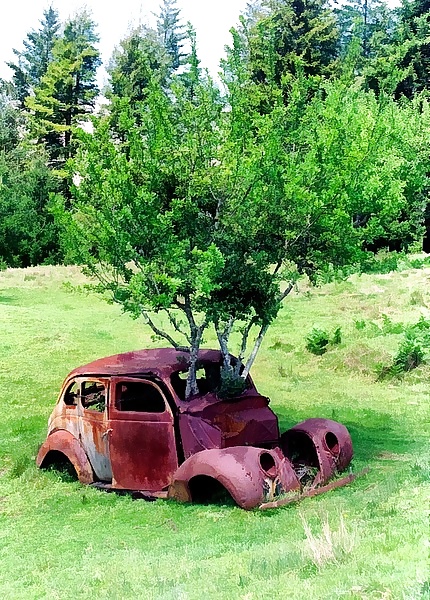 Dreams and Fantasies for Black--Widow  #29666850