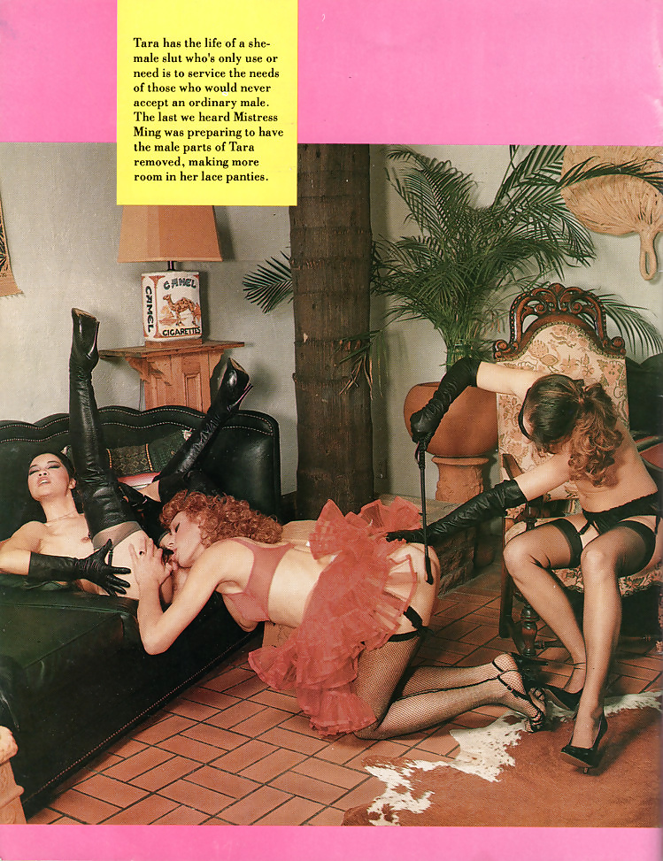 SISSY EXPOSE' #33919416