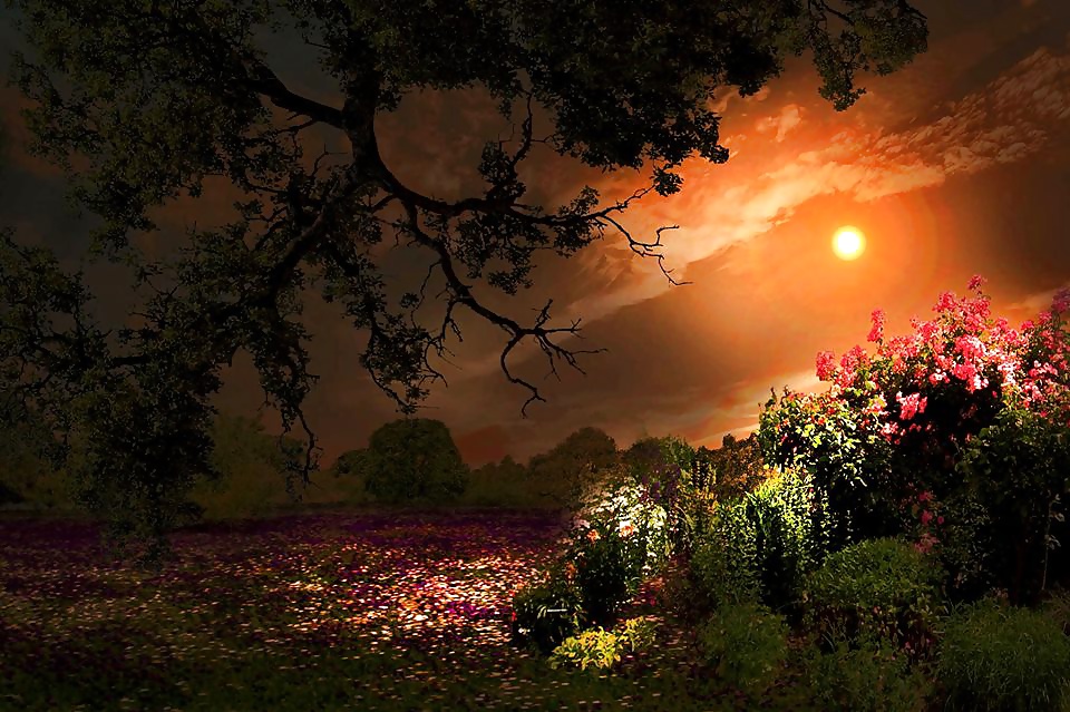 Scapes and Faces #31862037