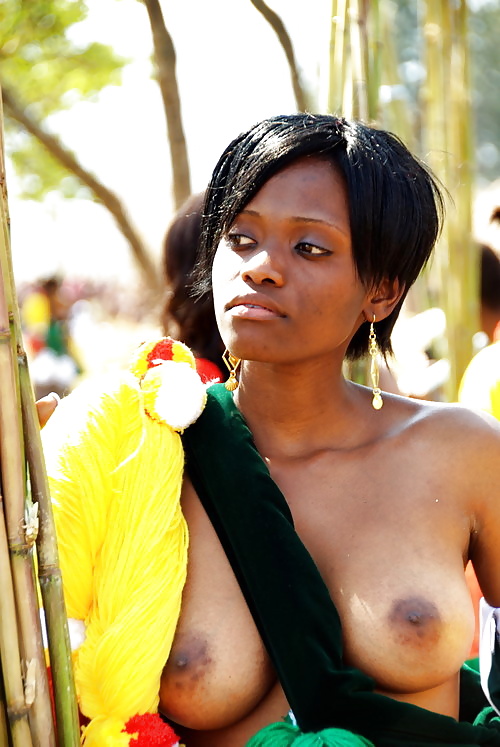 Beuaty african tits
 #32757953