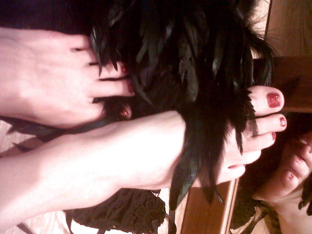 Feather and Lace #24113018