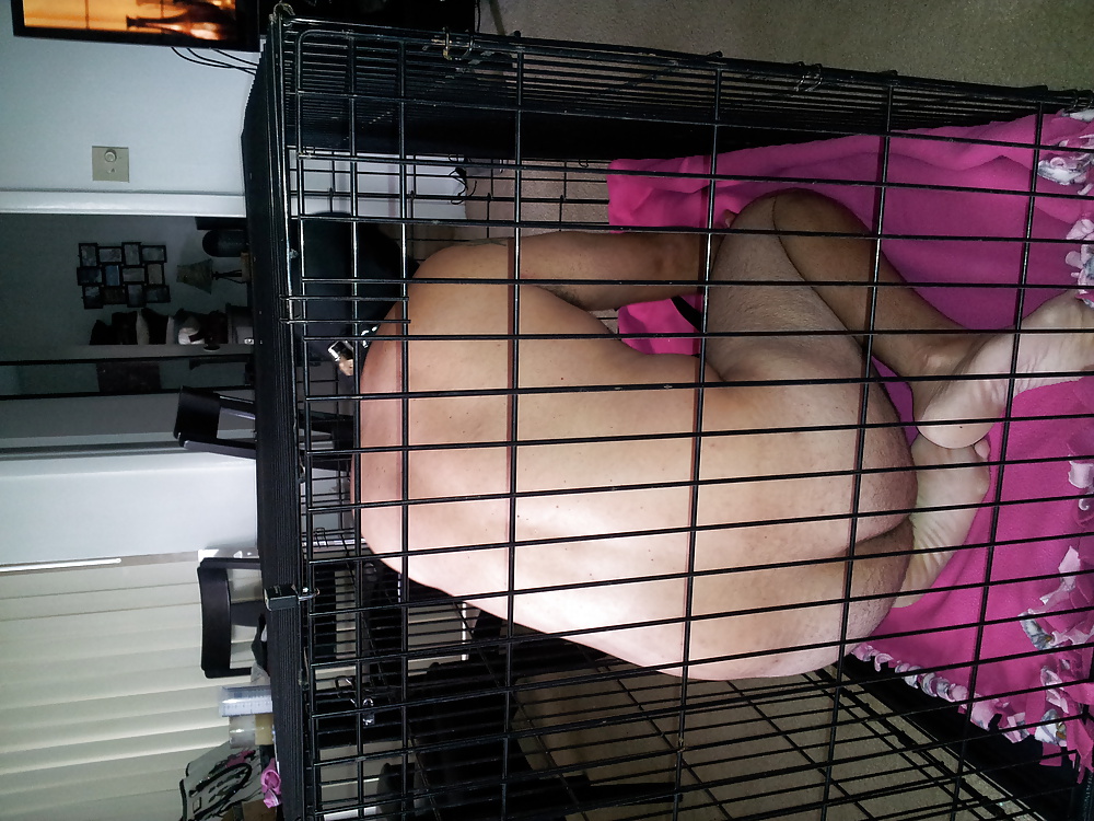 Puppy caged teased and fucked #28716208