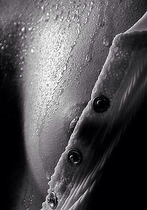 Art Pic Xiv #26343707