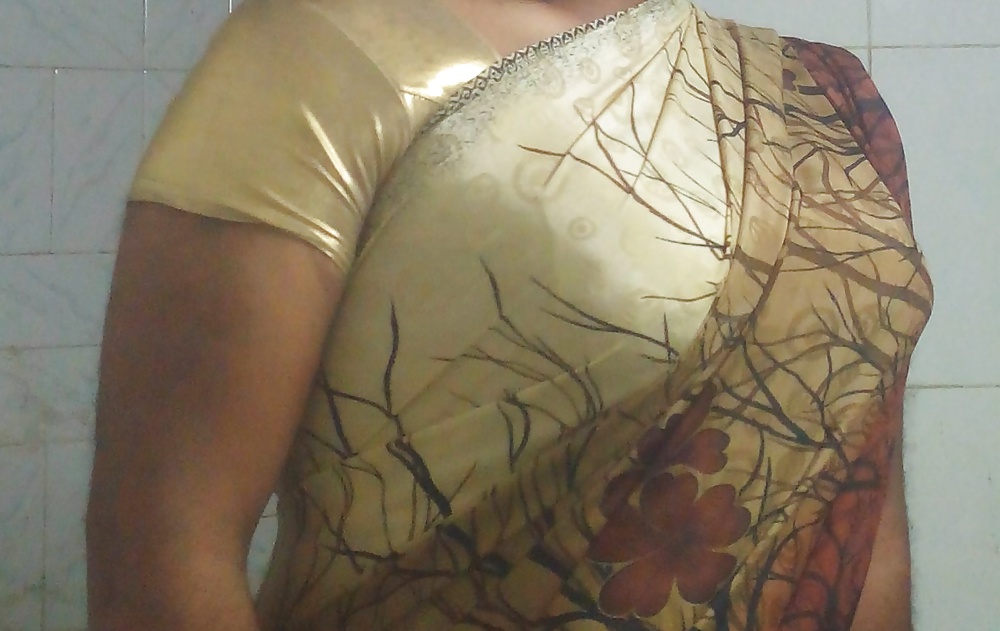 Big boobs in saree #33535106