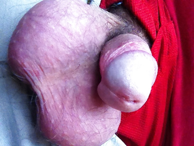 Lots of my cock and my big balls! #32317309