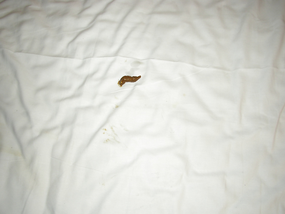 Assholes I have used #27785144