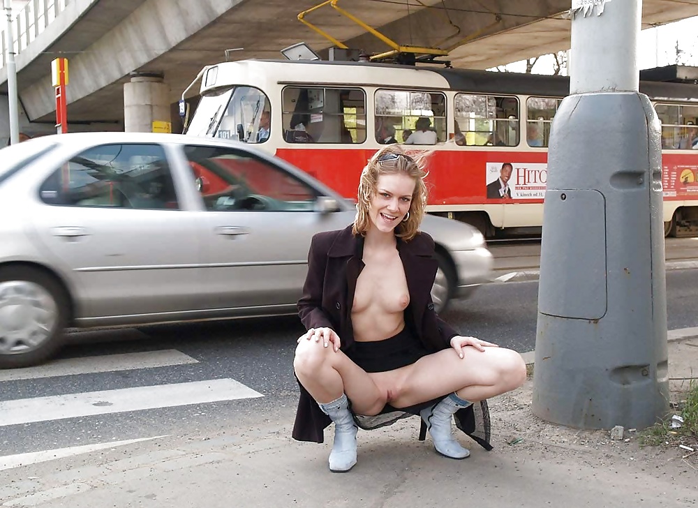 Flashing In Public 1 #30884544