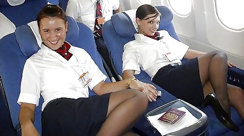 Stewardesses Baisable #23942496
