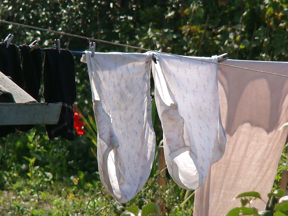 Knickers and panties on a clothesline! Amateur! #33703578