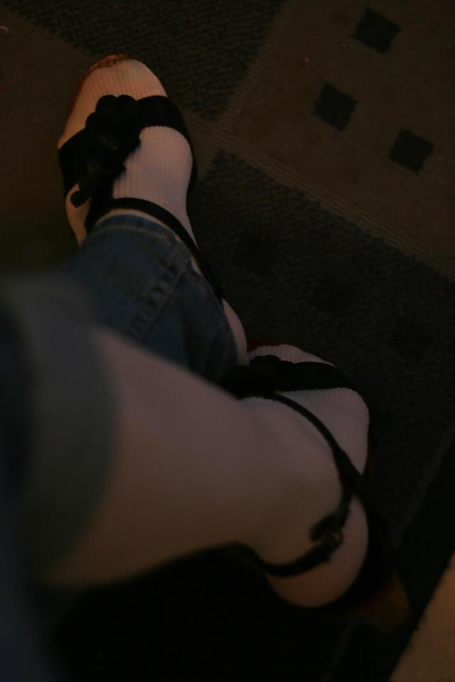 Pies 12
 #36107425