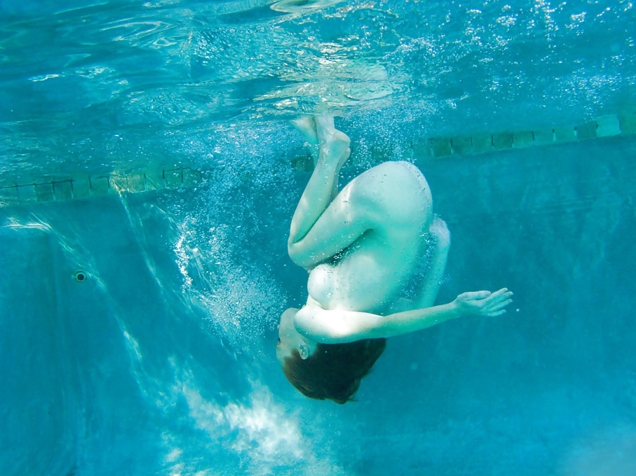 Heather Carolin dives in swimming pool  #32019184