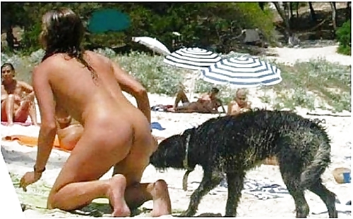 A little homor - un peu d'humour #34036608