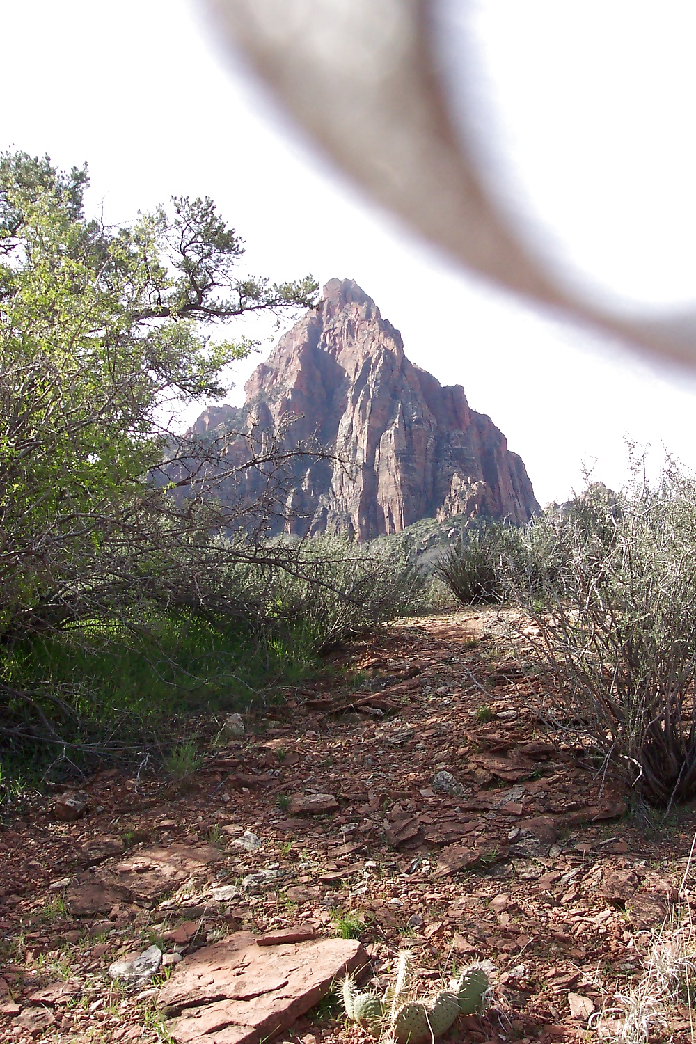 Sur de utah iii
 #31277447