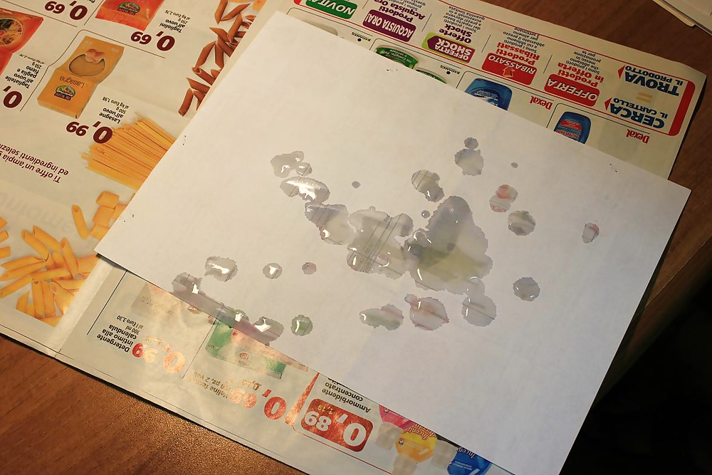 写真 x doggy980
 #27779513