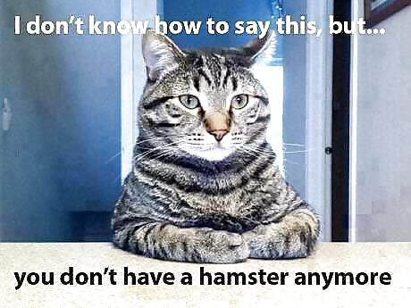 楽しい写真
 #37738312