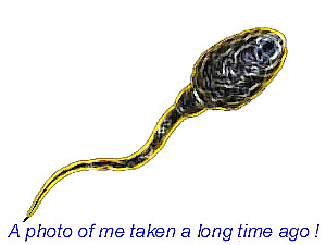 楽しい写真
 #37738321