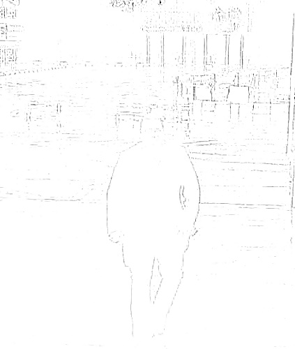 写真
 #28387613