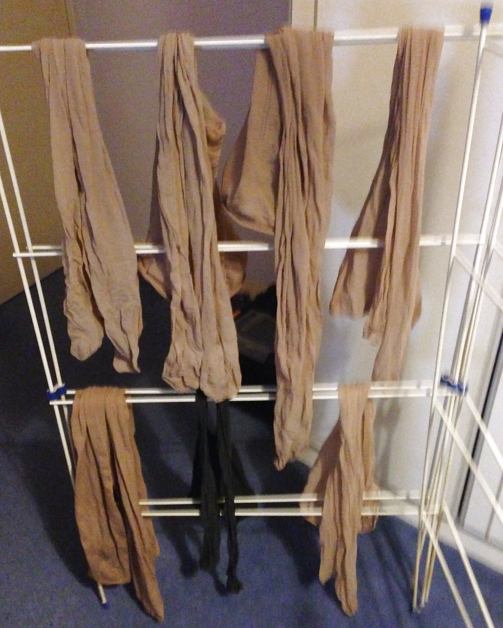 Tanya's tights drying #23473216