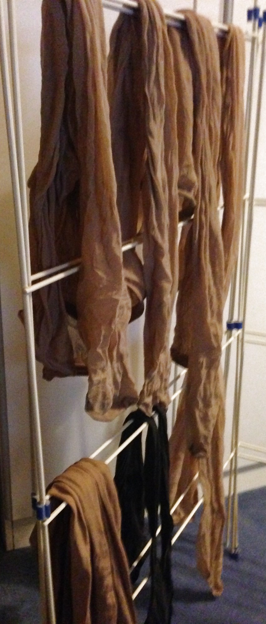 Tanya's tights drying #23473222