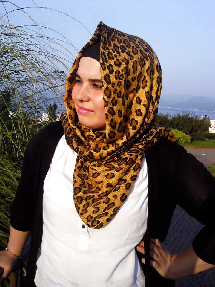 Turbanli arab turkish hijab baki indian
 #31757457