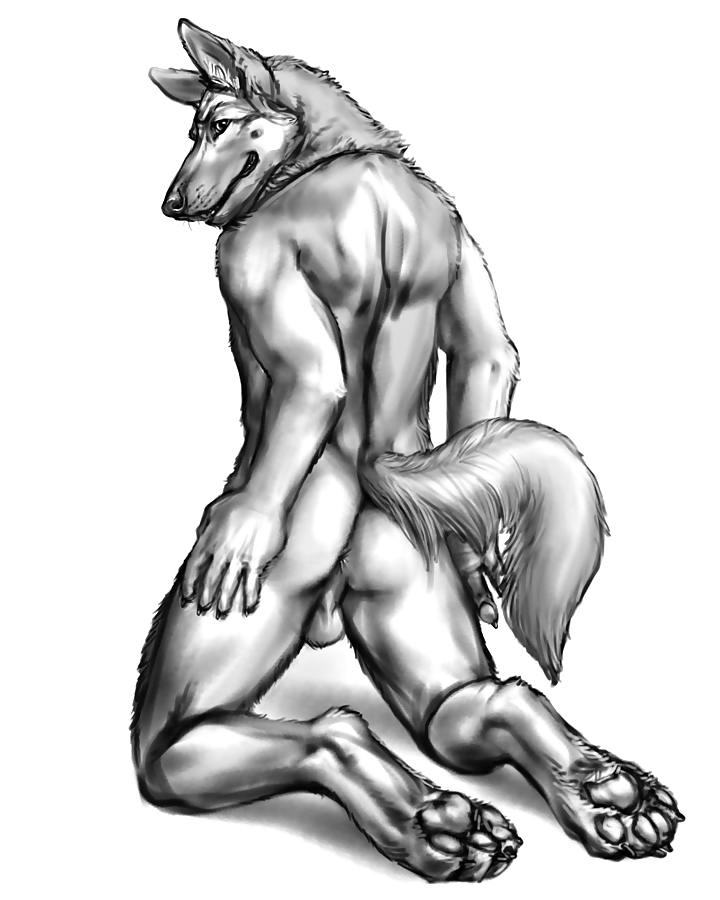 Furry art #37375810