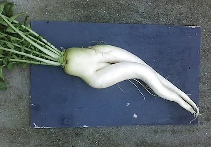 Rigolo - 4 - FishScorpio #32515518