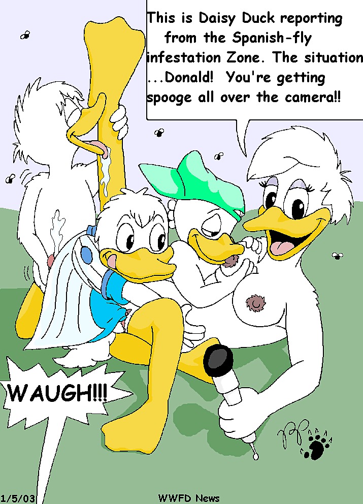 Dasiy duck and other ducks #24001704