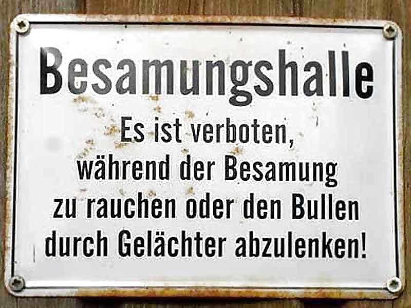 Meine geilen favoriten
 #40983942