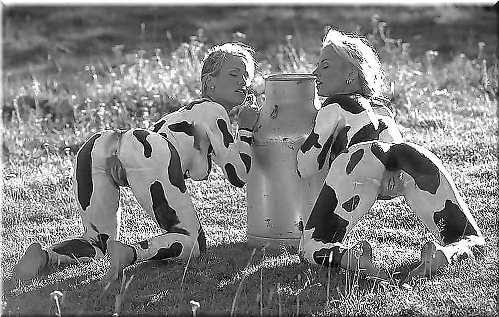 Meine geilen favoriten
 #40984018