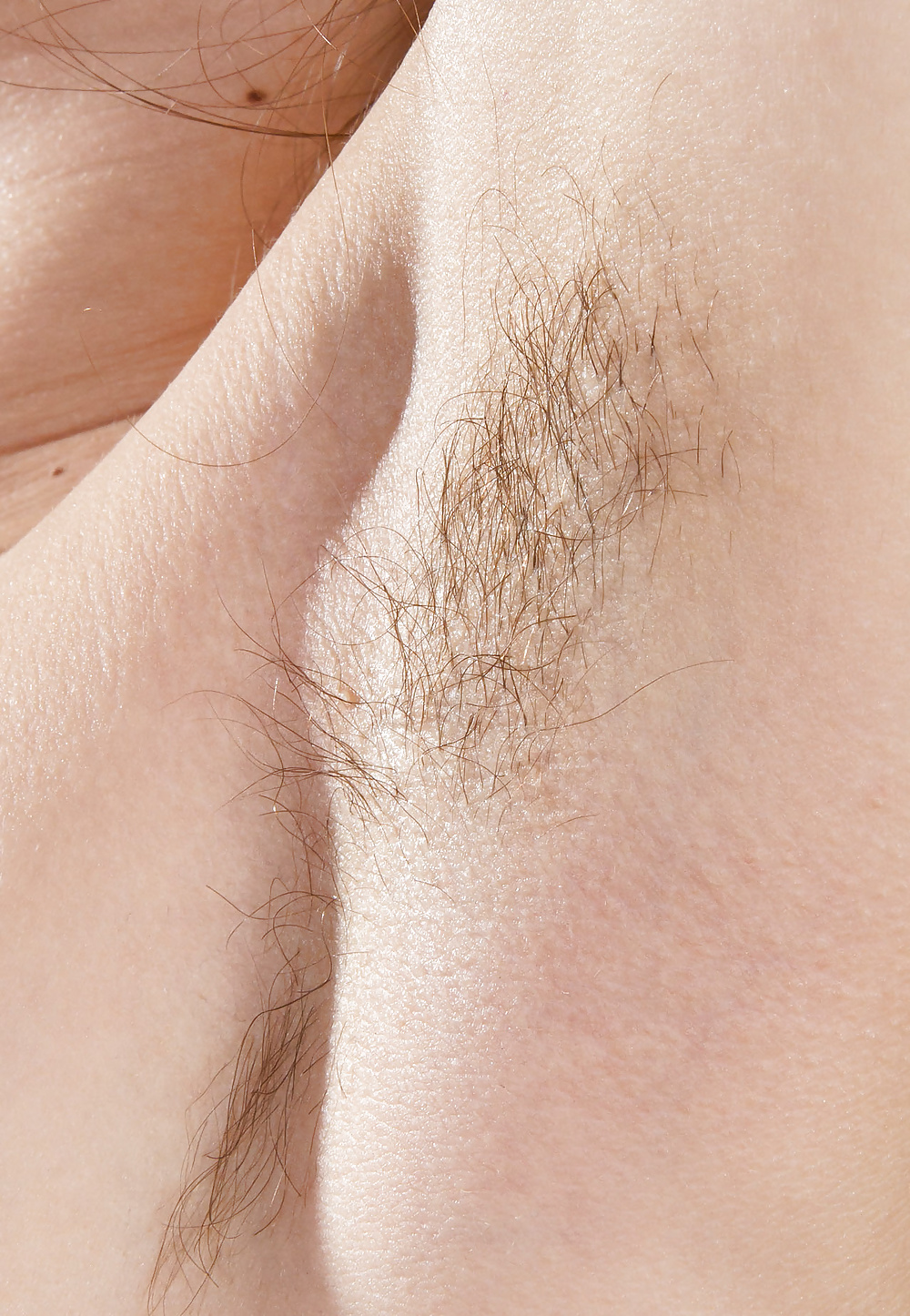 Hairy armpits 2 #30789360